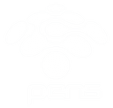 PENS Logo
